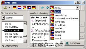 TrueTermDutch