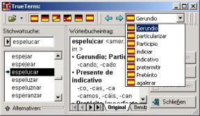 TrueTermSpanish